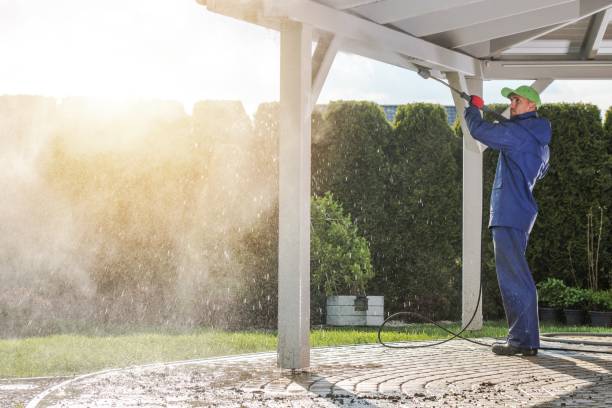 Best Soft Washing  in San Lorenzo, CA
